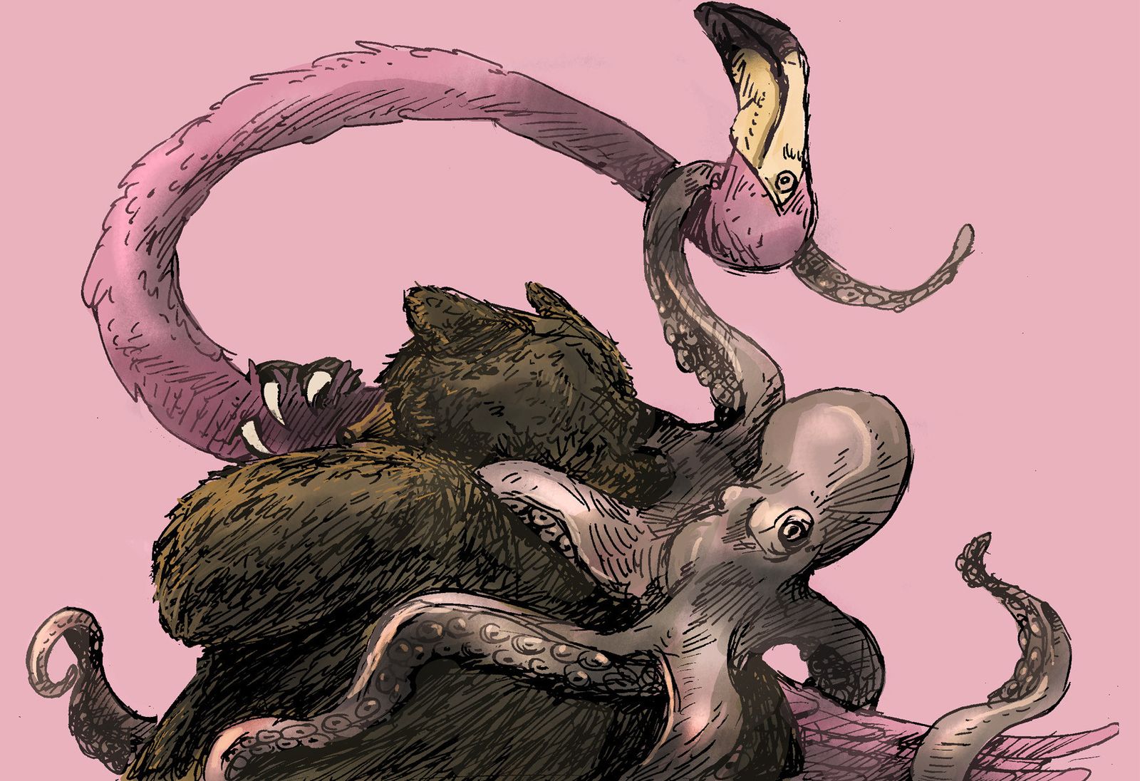 La danza del apareamiento.