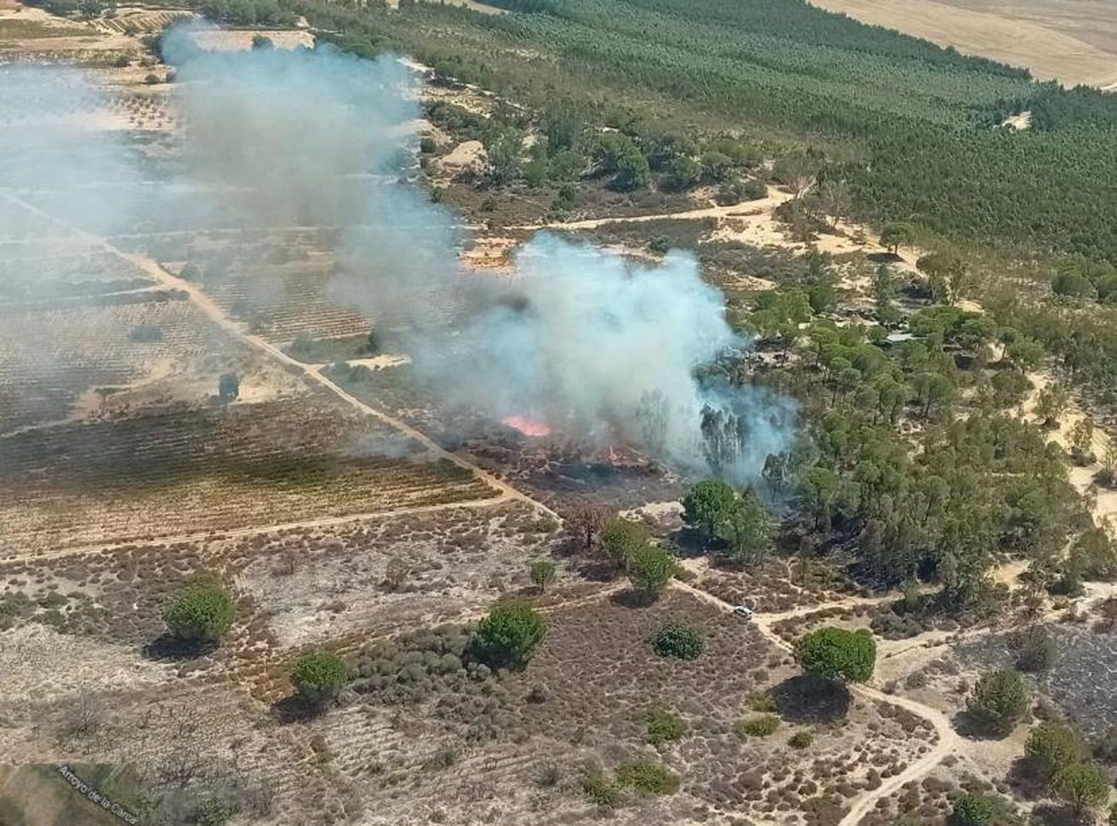 Incendio en Bollullos del Condado.
