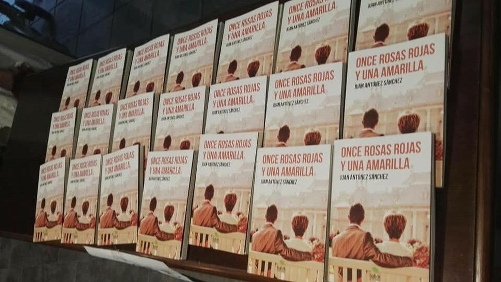 Los beneficios de la novela 'Once rosas rojas y una amarilla', escrito por Juan Antúnez, van destinados íntegramente a la investigación en ataxias.