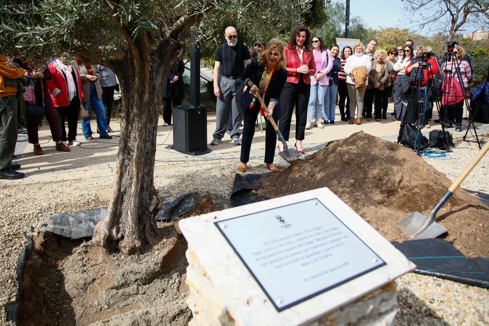 Las imágenes de la plantación de un olivo y el entierro de una cápsula del tiempo