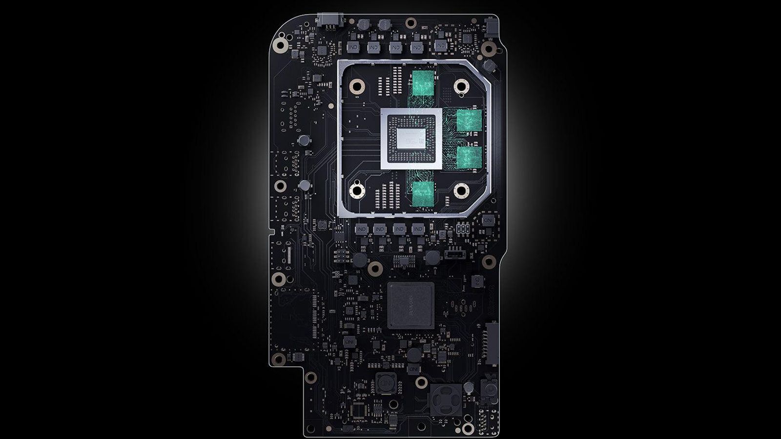 El interior de la bestia.