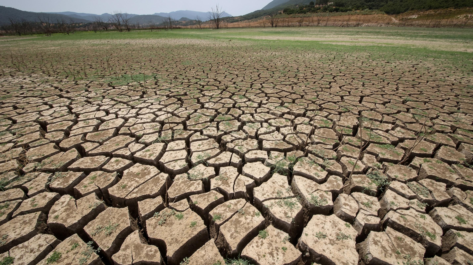 Así se encuentran algunos embalses de la provincia
