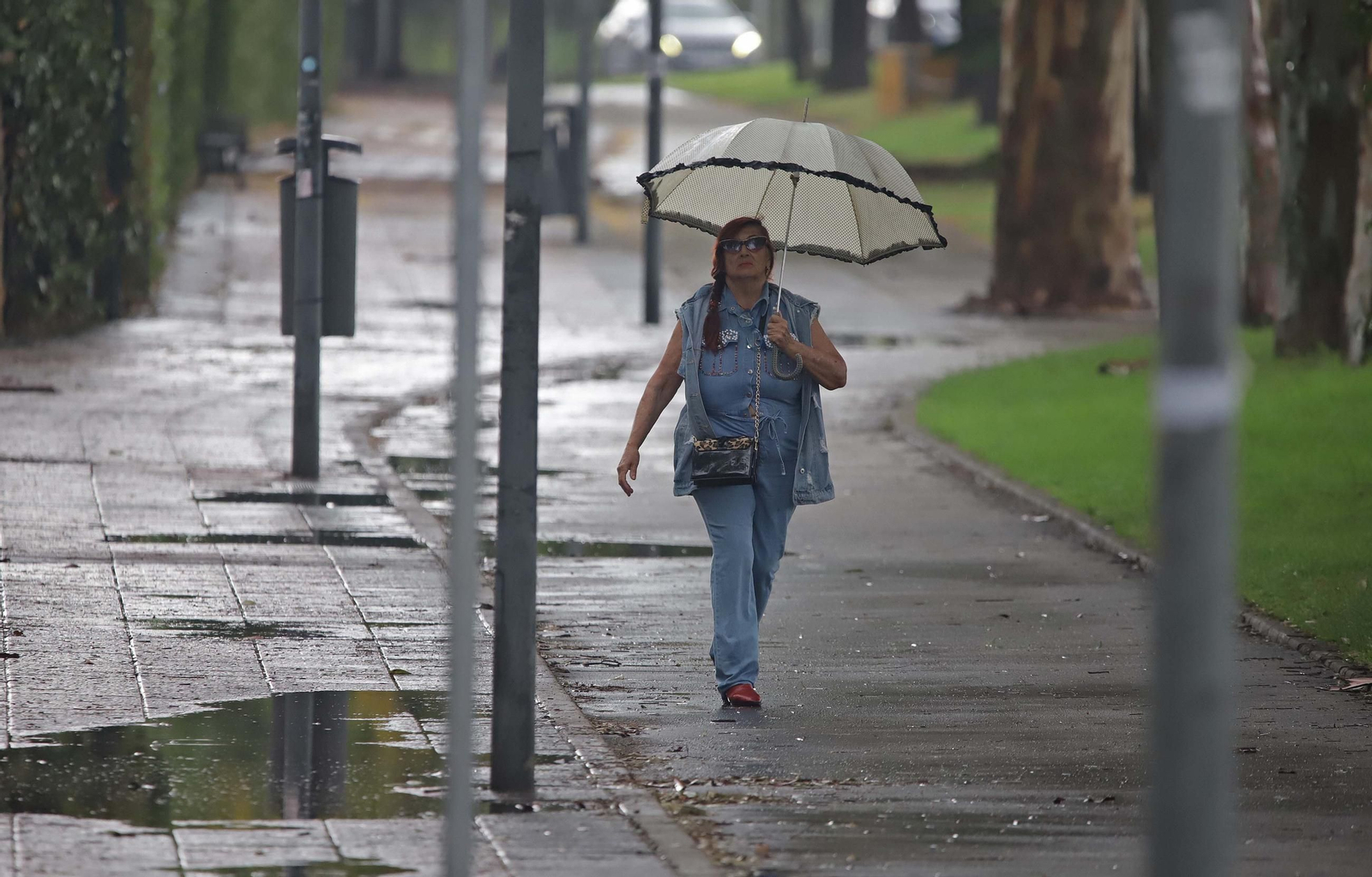 Las primeras lluvias de otoño, en imágenes