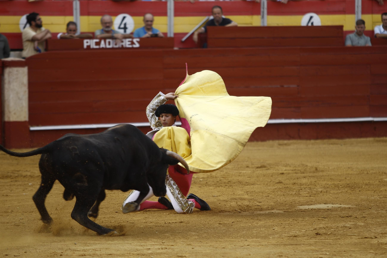 Las mejores imágenes de la clase práctica de la Escuela Municipal Taurina de Almería