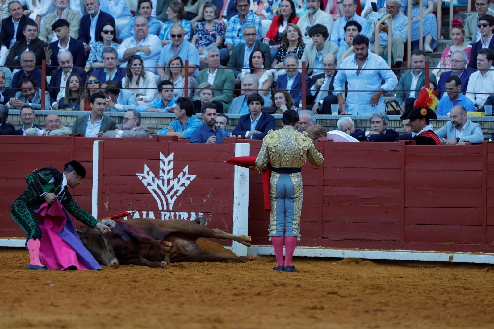 Las mejores fotos de la corrida de Morante, Ortega y Roca Rey en la Feria Taurina de Córdoba