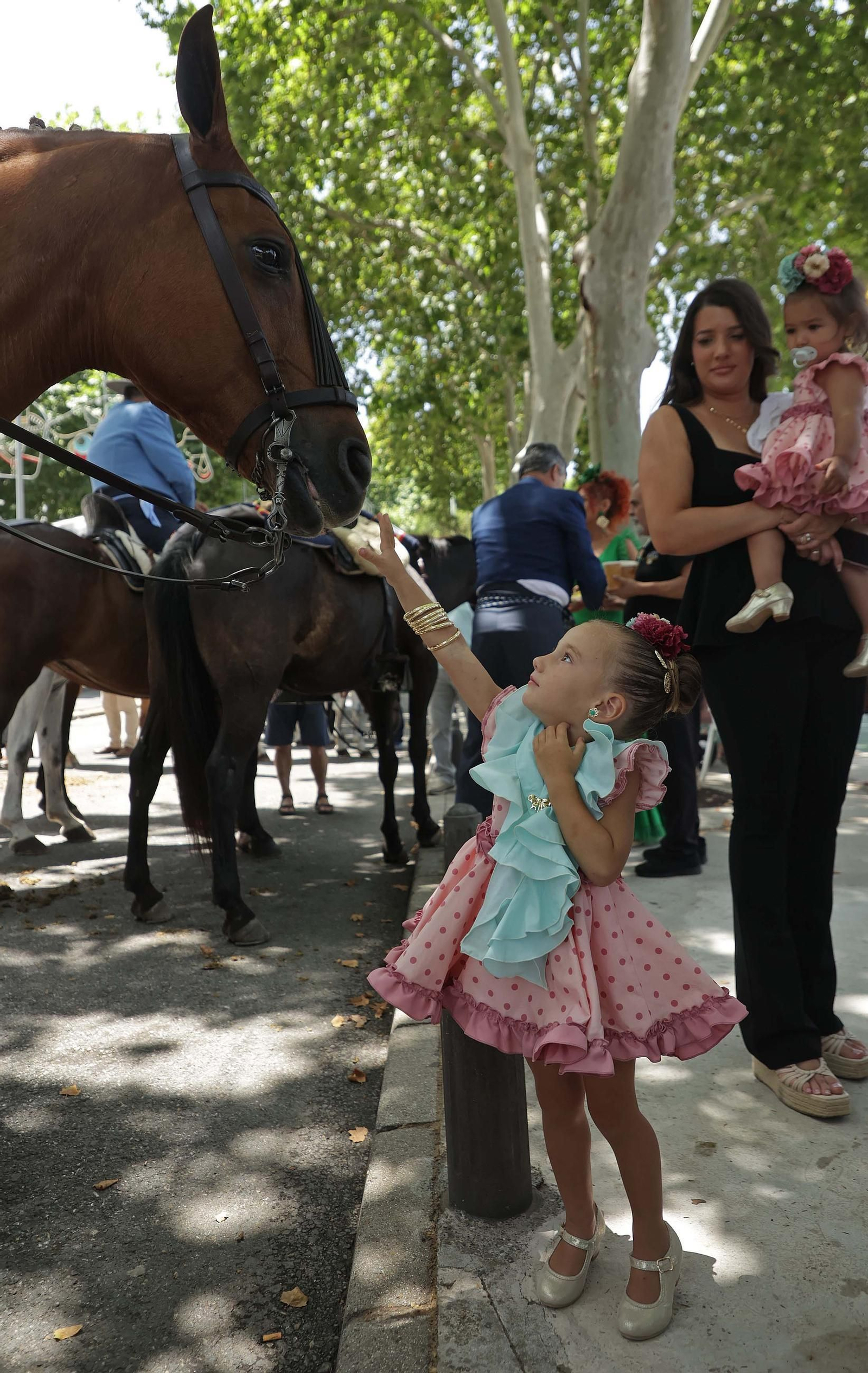 Fotos del tradicional concurso 'Paseo a Caballo' en la Feria Real de Algeciras 2025 Fotos del tradicional concurso 'Paseo a Caballo' en la Feria Real de Algeciras 2025