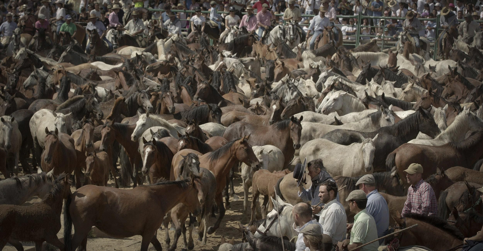 La tradicional y ancestral 'Saca de las  Yeguas', en imágenes