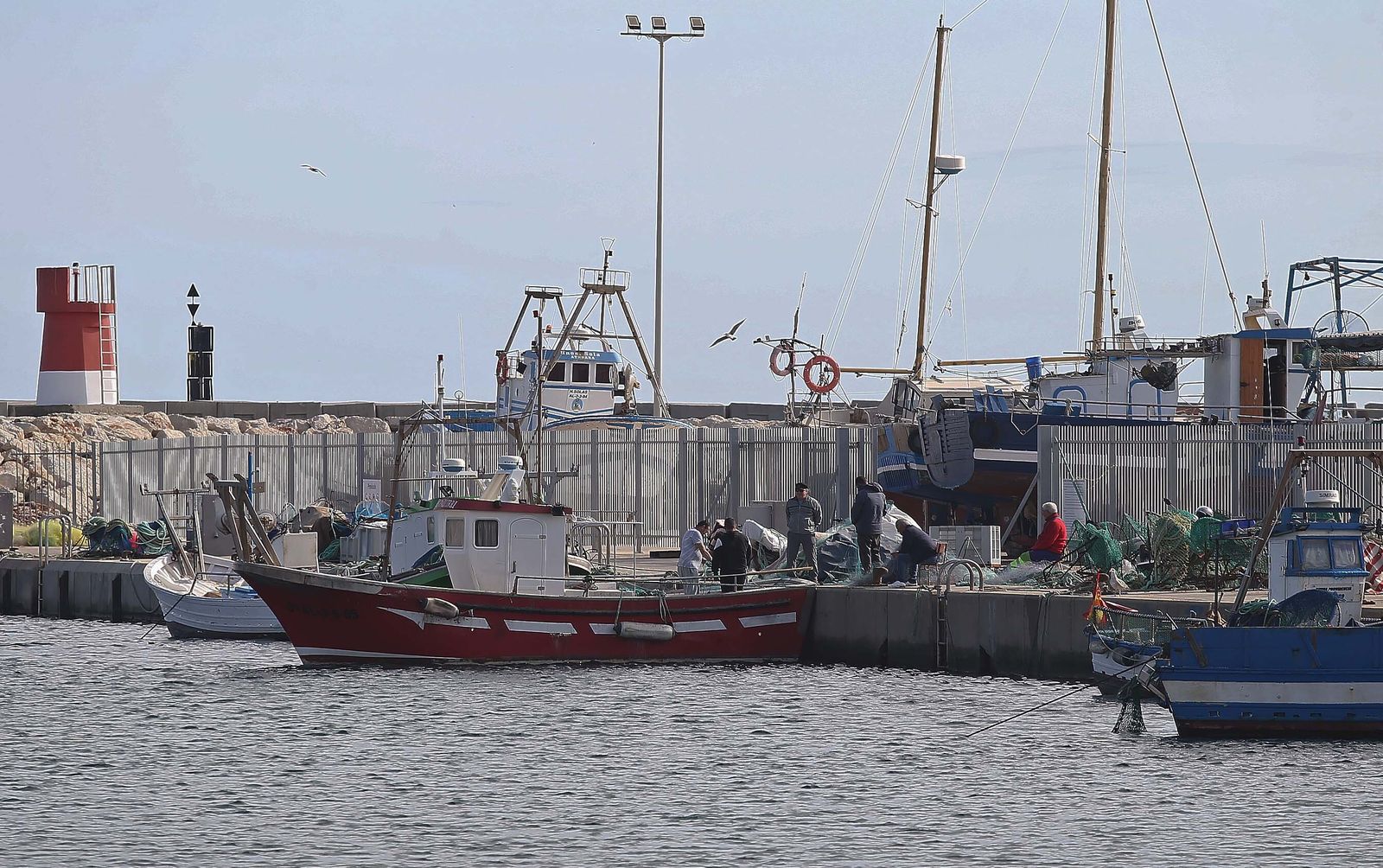 El puerto pesquero de La Línea, en imágenes