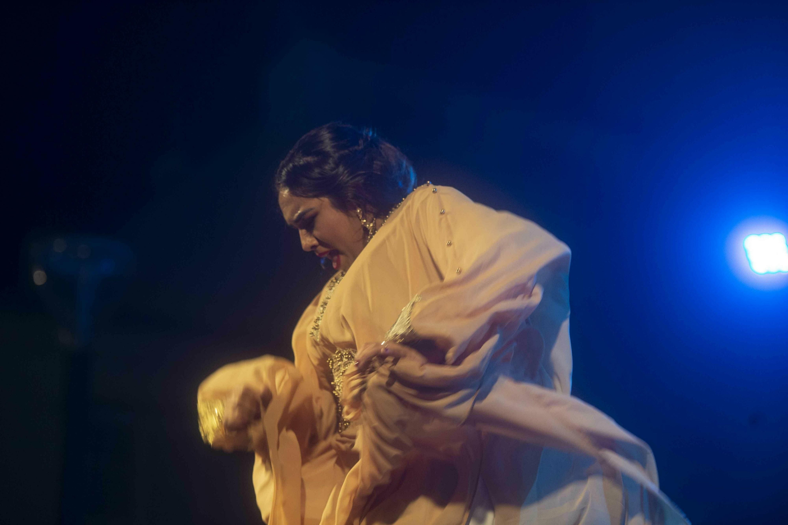 Las imágenes de la Noche Blanca del Flamenco de Córdoba