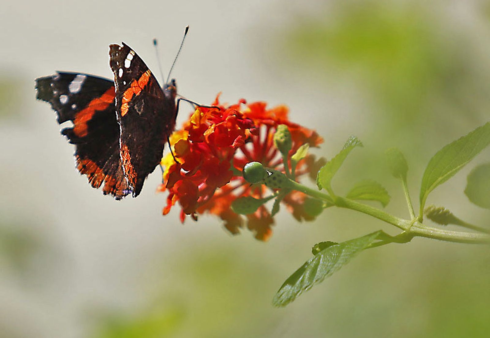 Las imágenes más destacadas del sábado 21 de octubre en Huelva