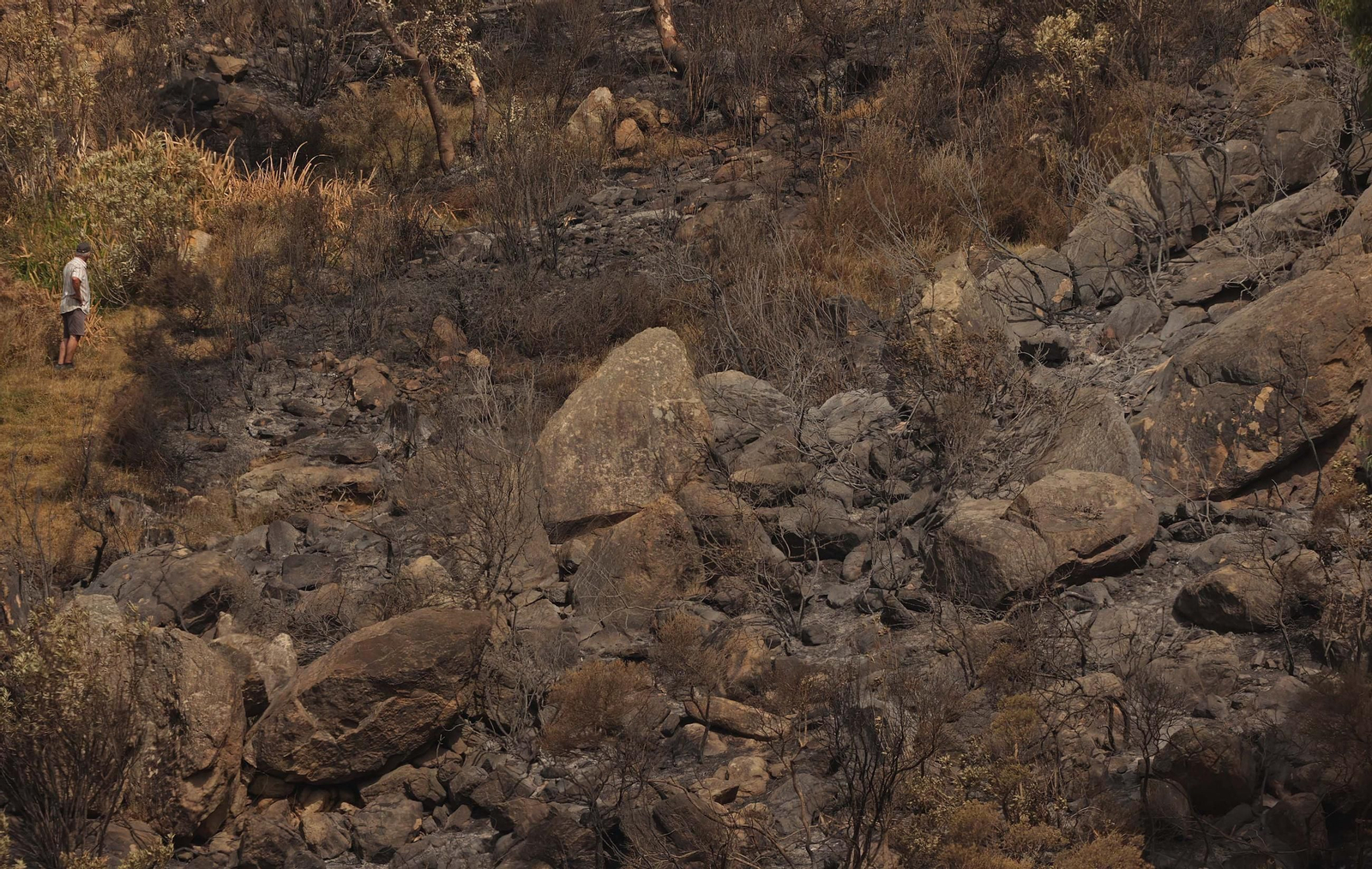 Fotos de los efectos del incendio en el monte de La Peña en Tarifa