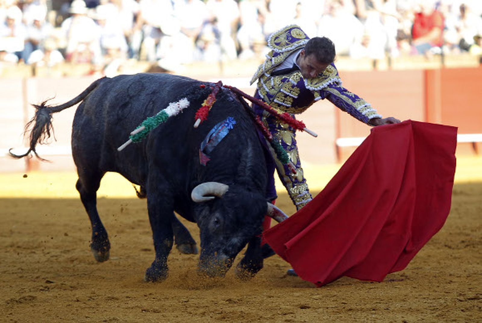 Ferrera y Ventura acaparan la mayoría de trofeos