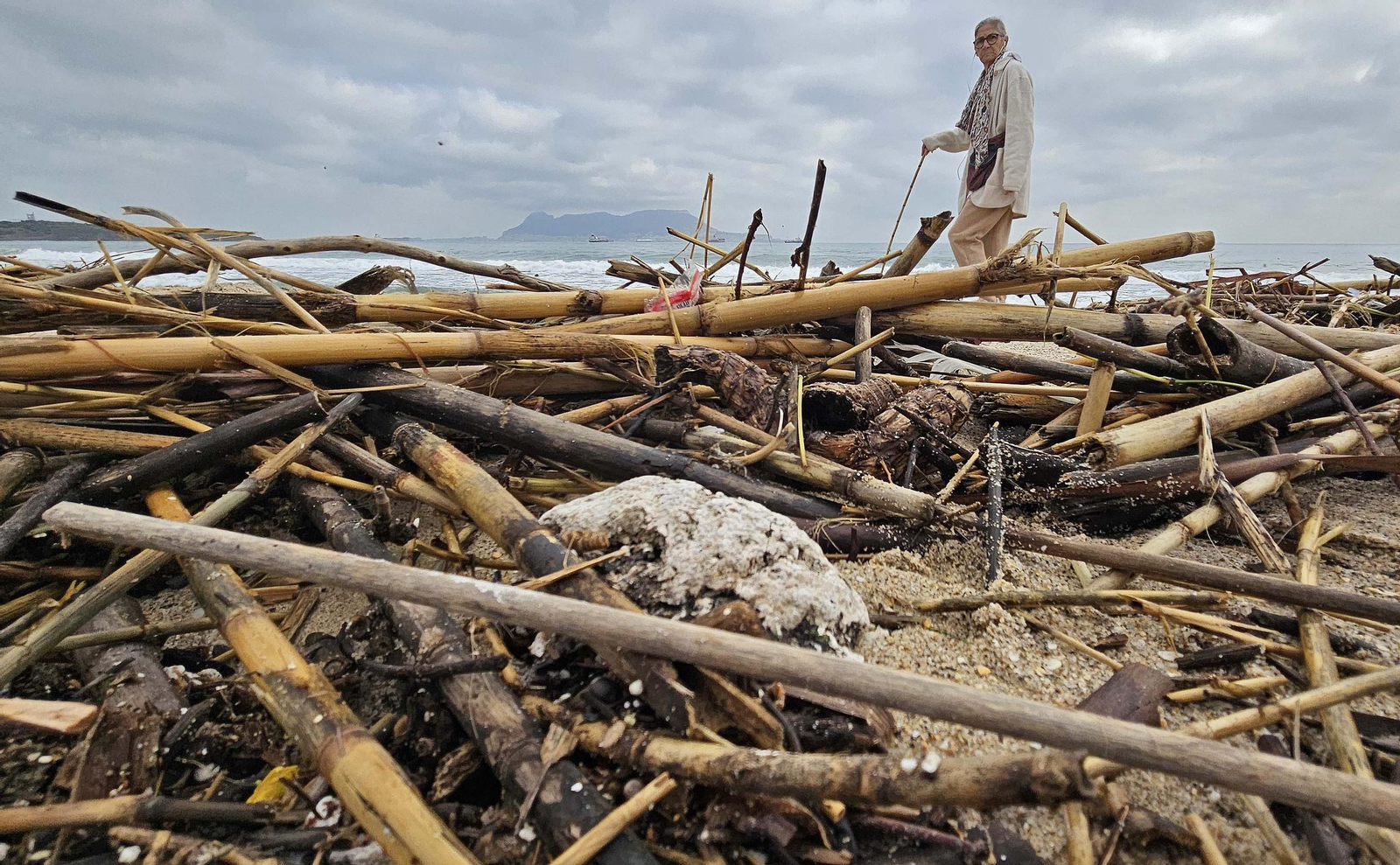 Fotos de la limpieza de las bolas blancas en la playa de Getares en Algeciras