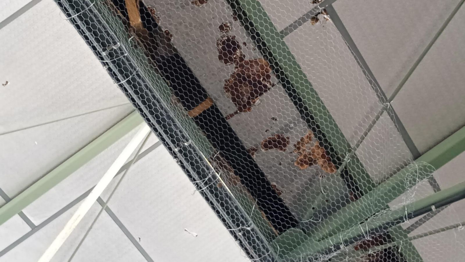 Redes bajo zonas oxidadas por donde se filtra el agua de la lluvia.