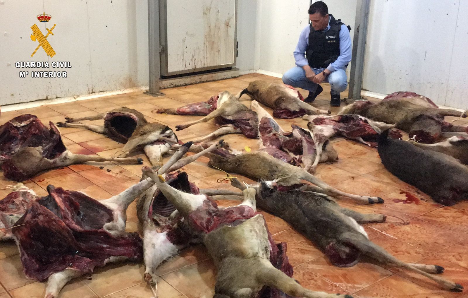 Requisan 5,5 toneladas de caza mayor  en mal estado