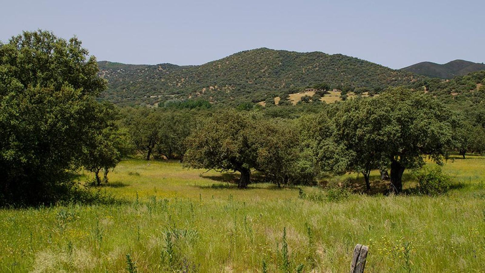Vistas a la salida de La Nava dirección El Repilado