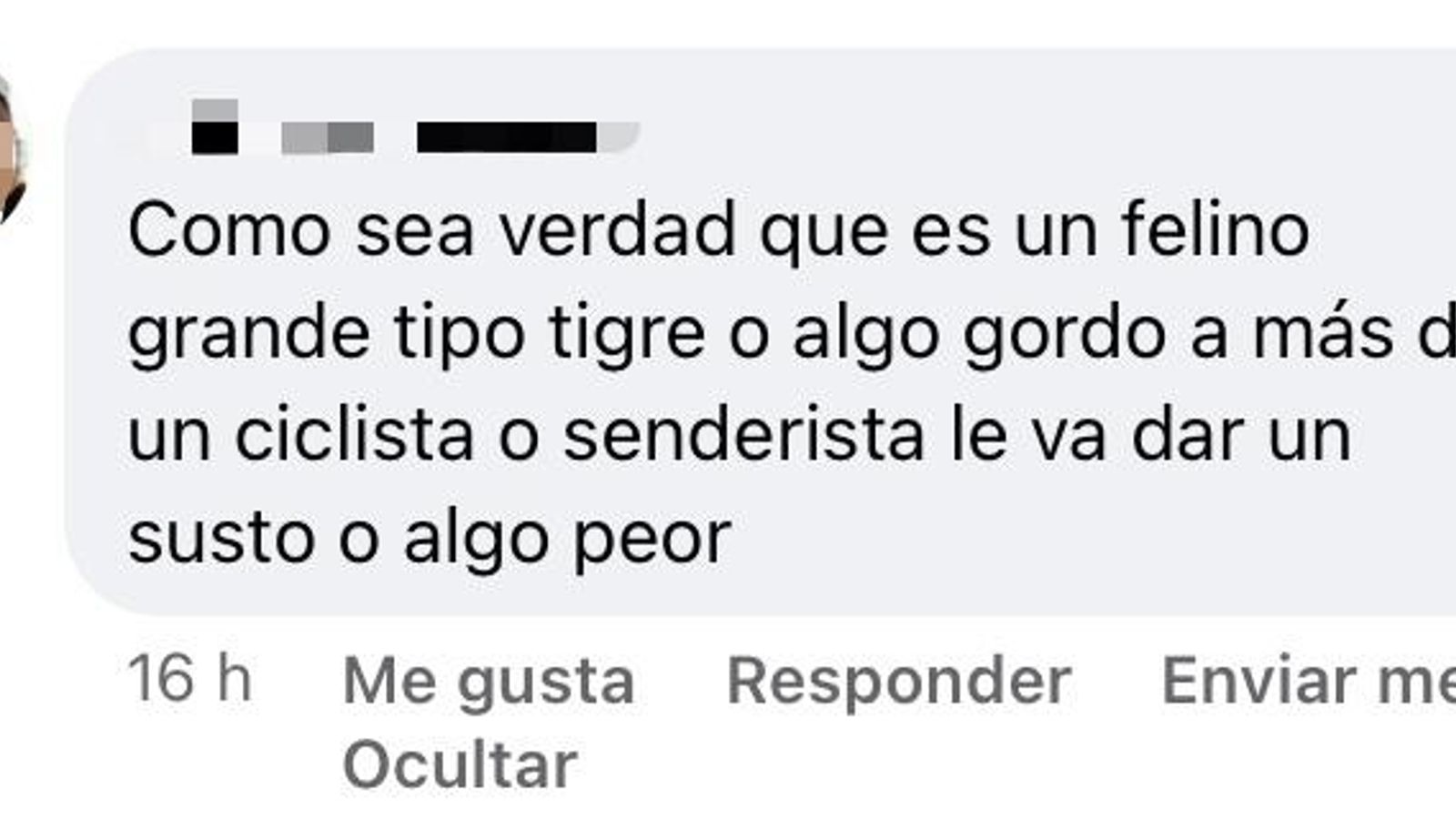 Comentario en redes.