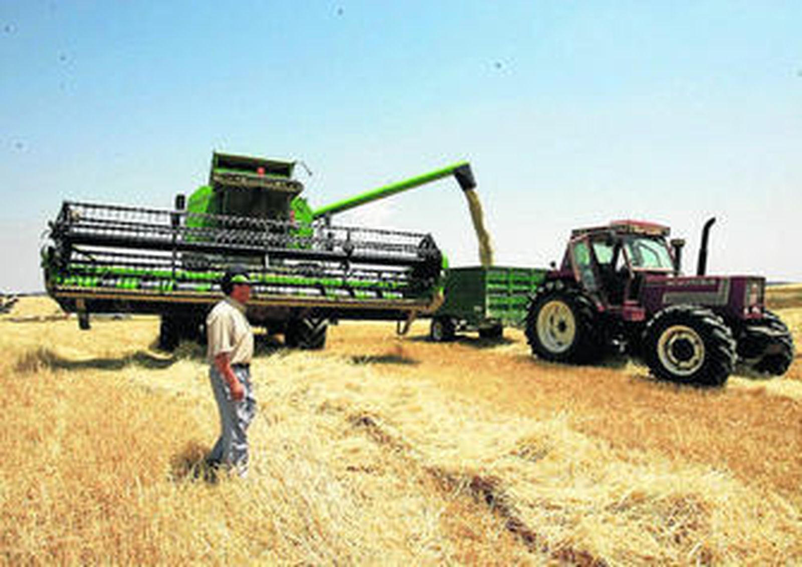 Recolección de cereales en Topares, al norte de la provincia de Almería.