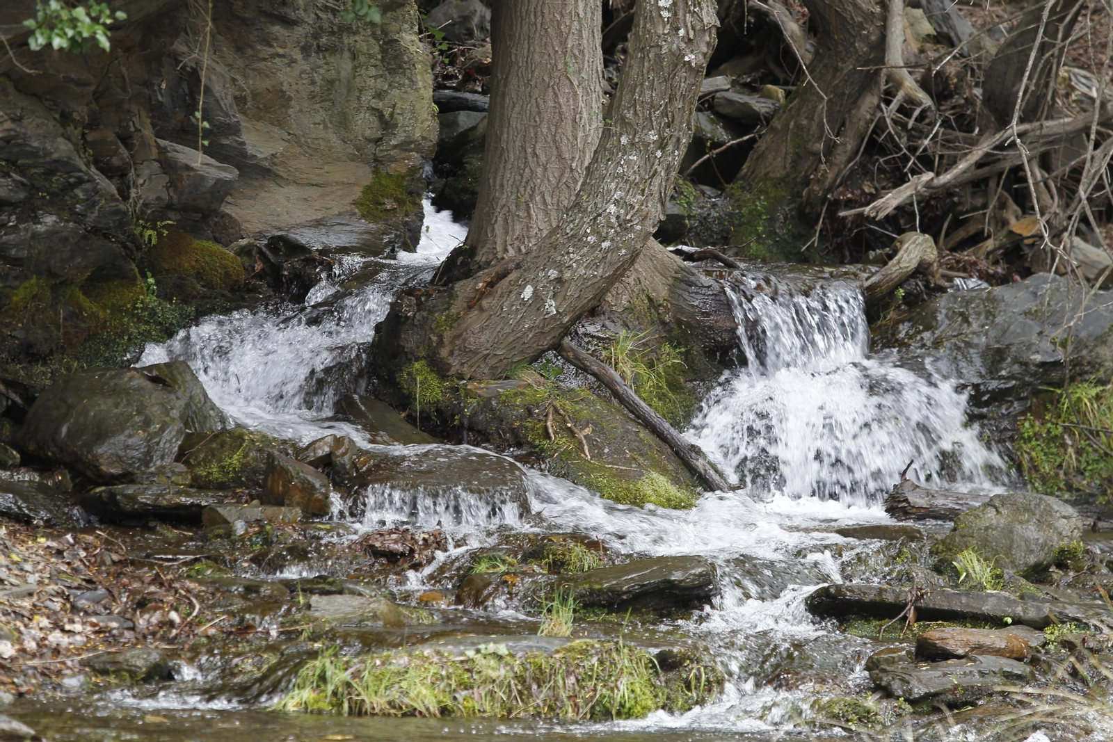 Naturaleza desconfinada. La Roza (Abrucena)