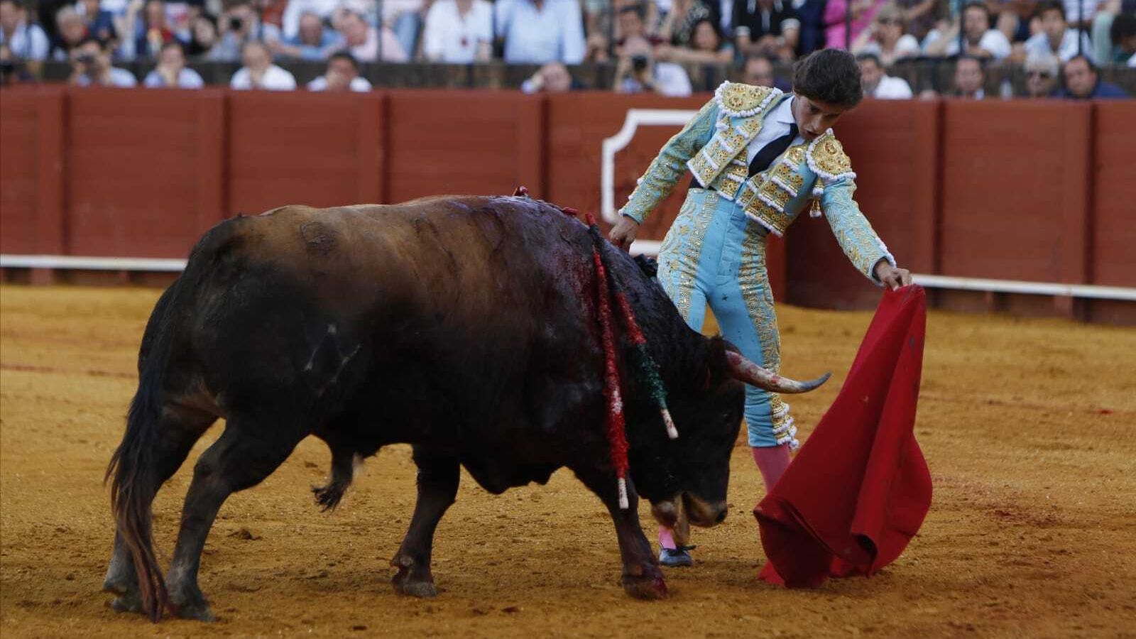 Manolo Vázquez no pudo casi ligar muletazos durante sus faenas.