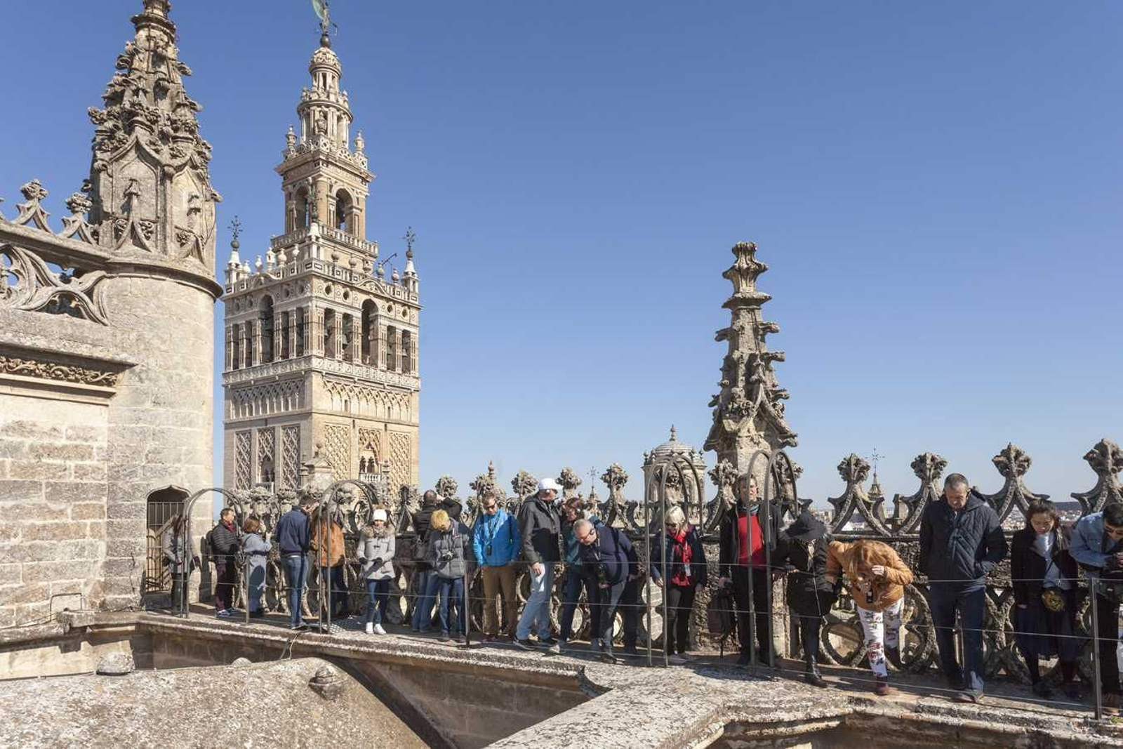 La Catedral de Sevilla abrirá de nuevo la visita cultural el 1 de julio