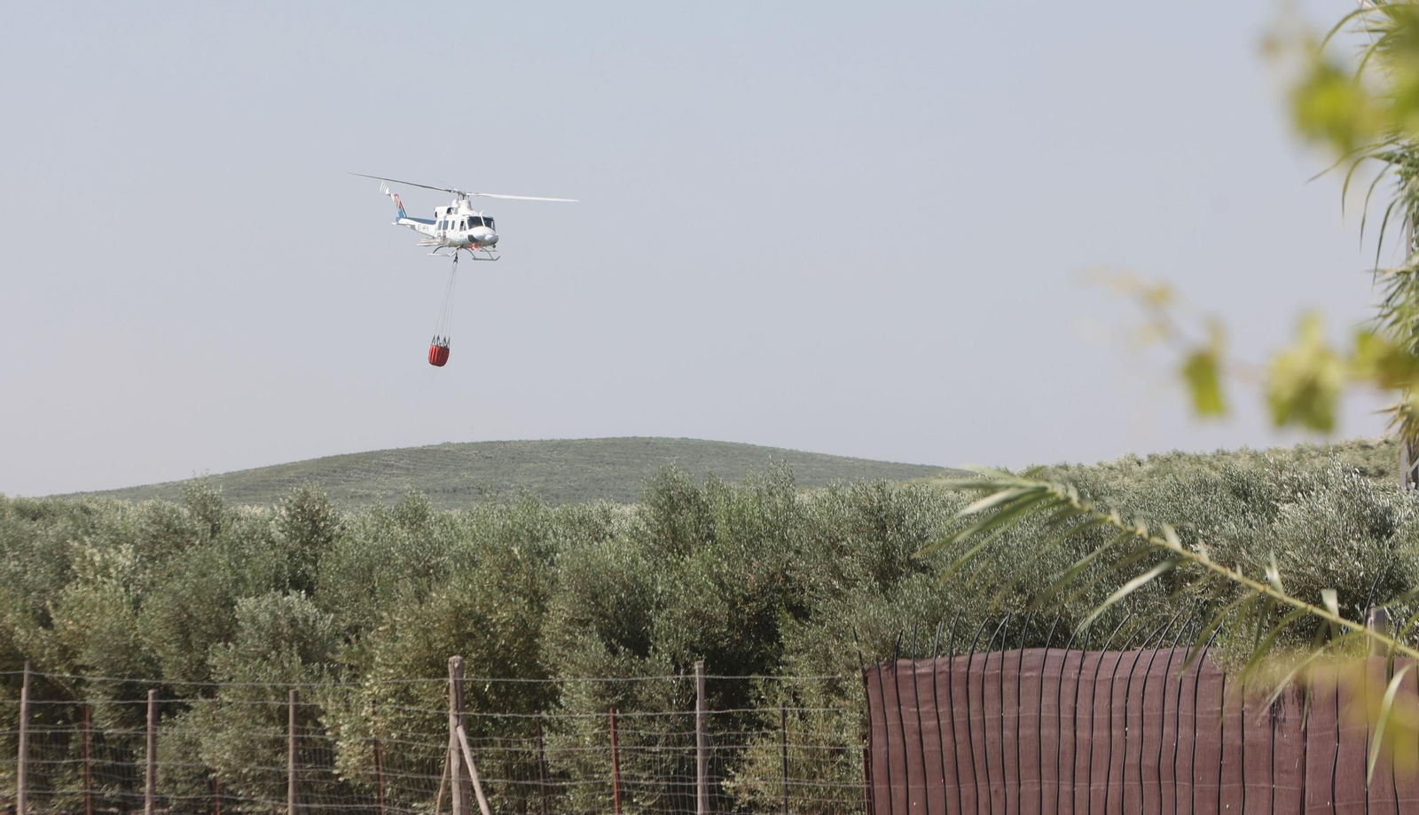 Un helicóptero del Infoca, este miércoles en la zona rural de Jerez.