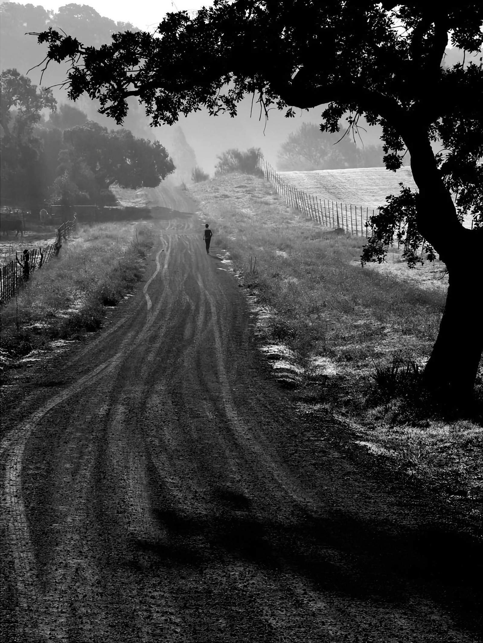 El pretexto de todo caminante es llegar a un destino, encontrándose en el camino.