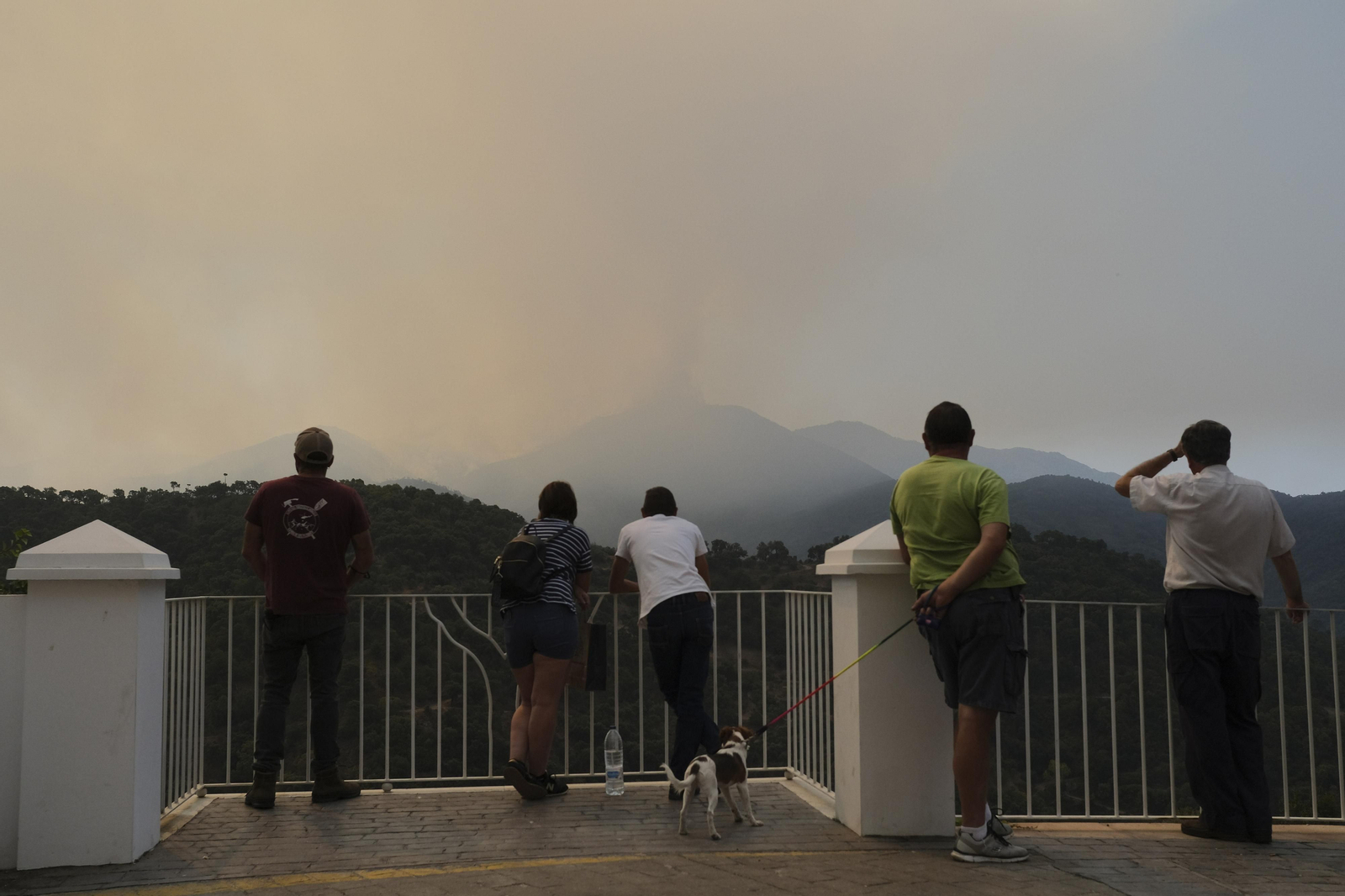 El incendio de Sierra Bermeja, en fotos.