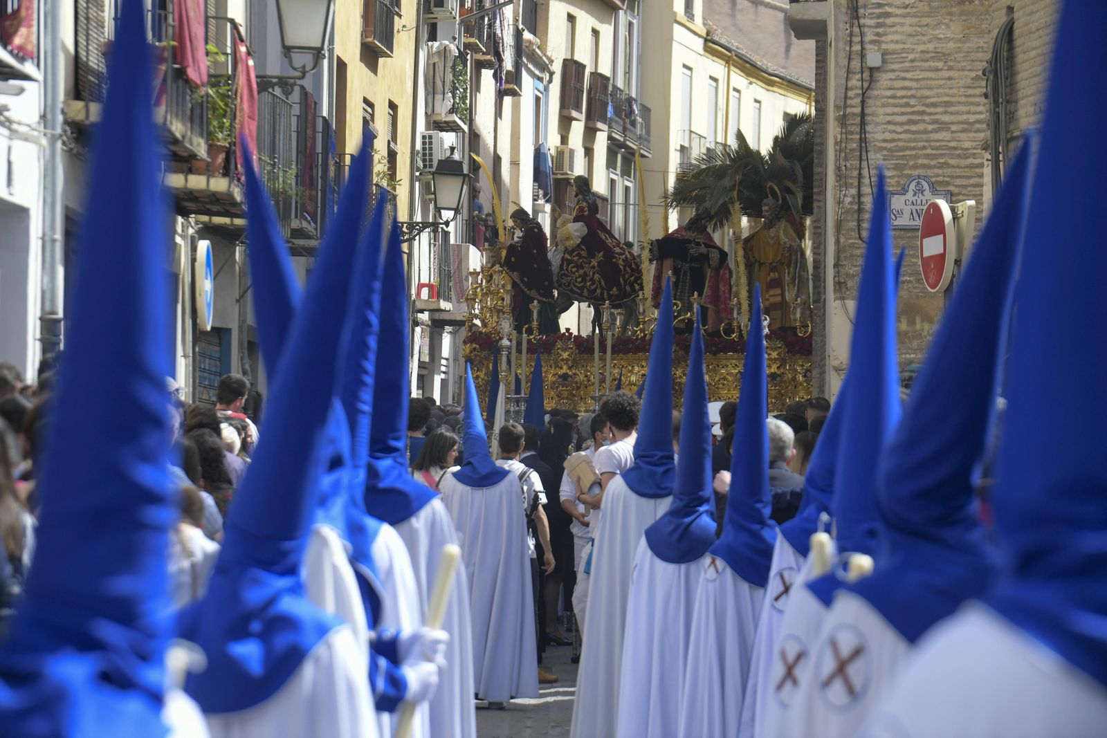 La Borriquilla, en imágenes