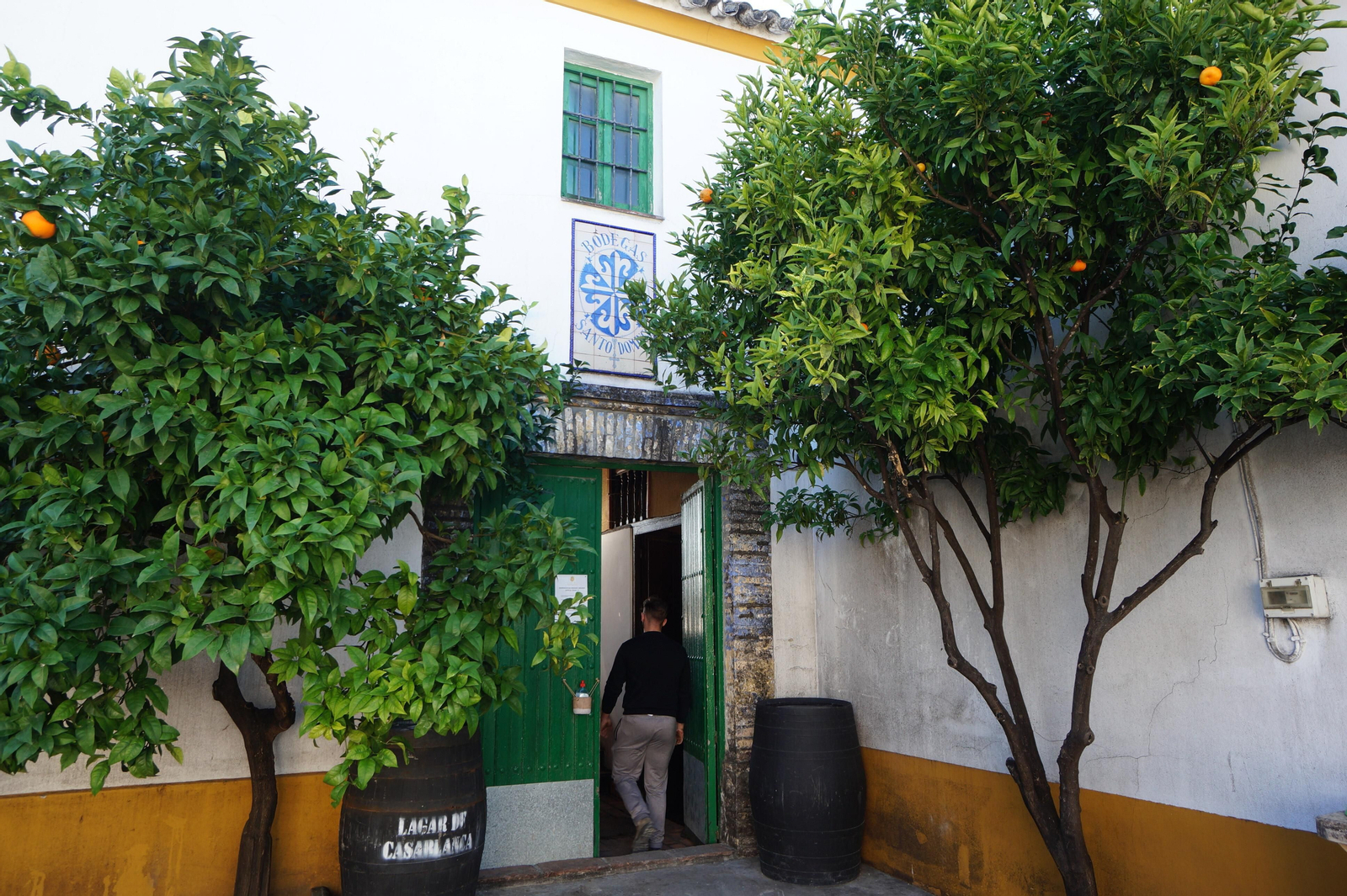 Un recorrido en fotografías por el vino nuevo de Moriles