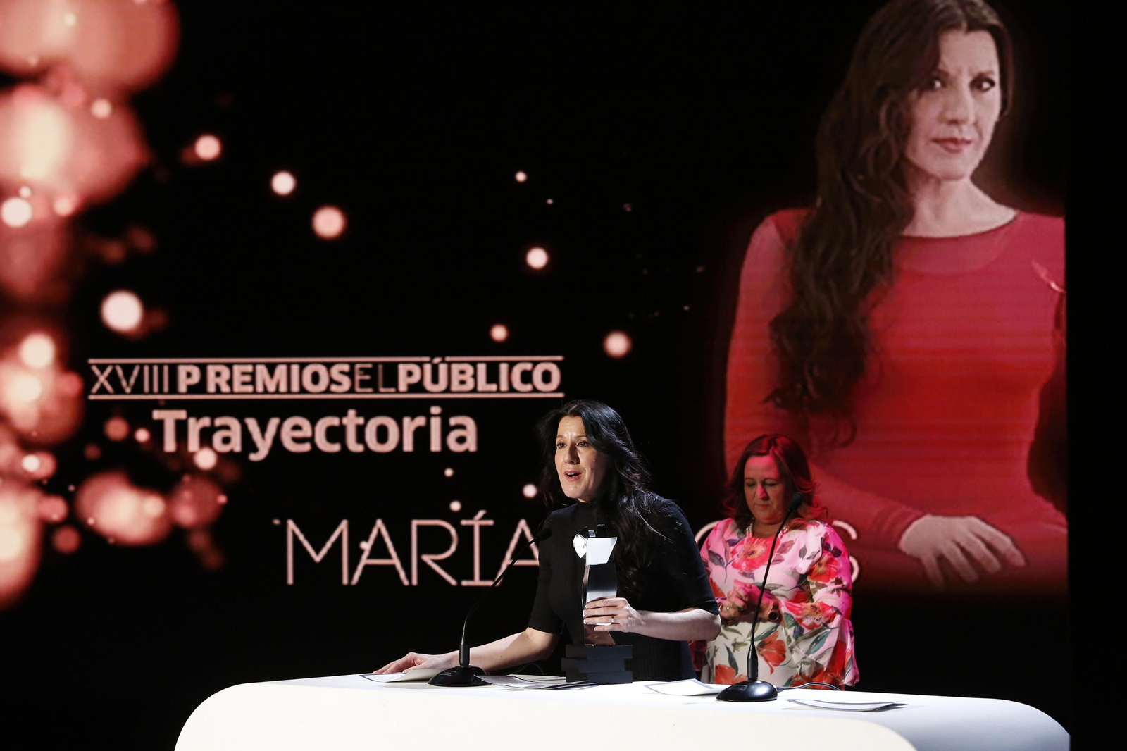 La Ceremonia de entrega de la XVIII edición de los premios 'El Público', en imágenes