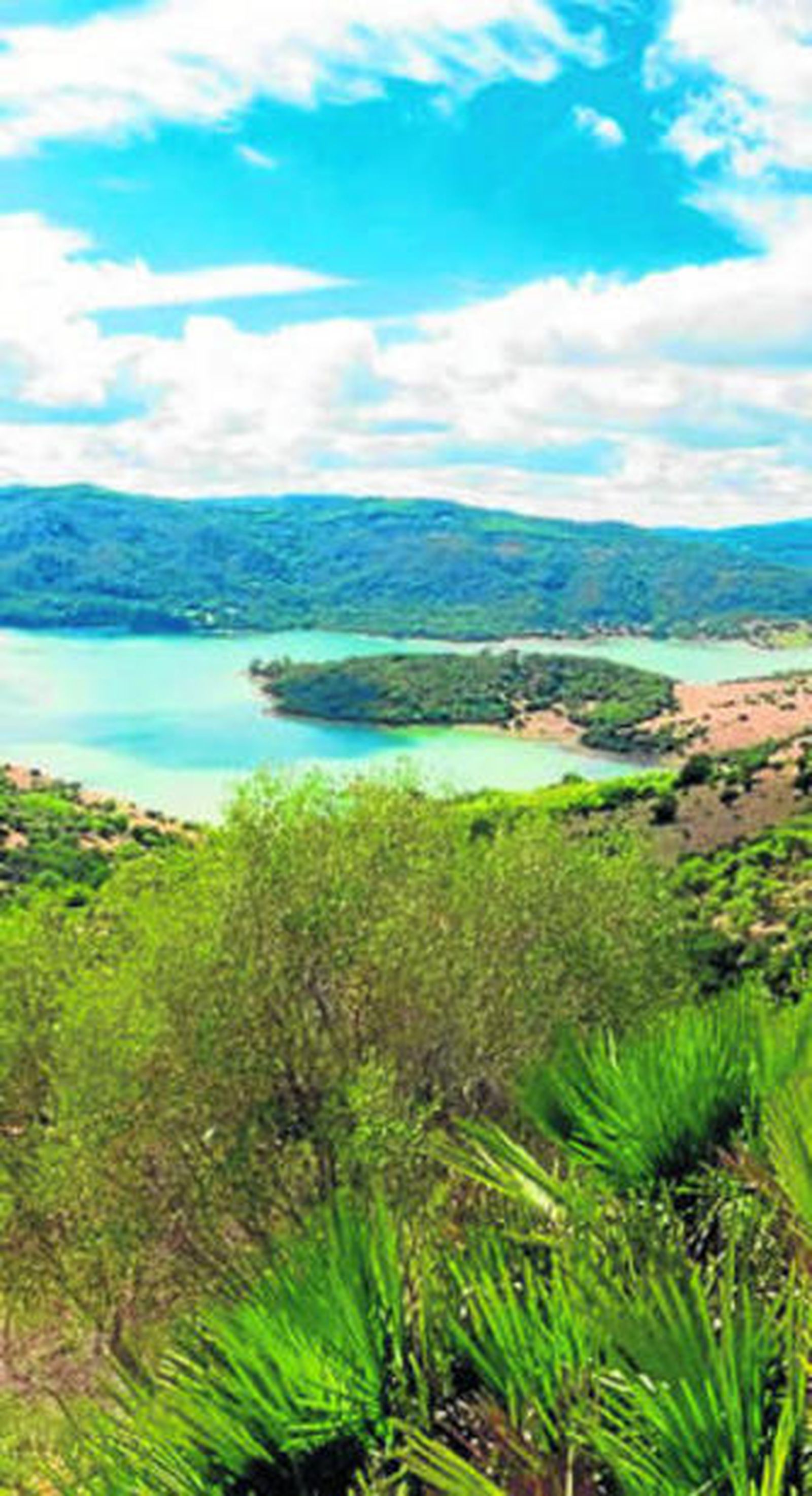 El pantano del Celemín, en los términos de Benalup y Medina.