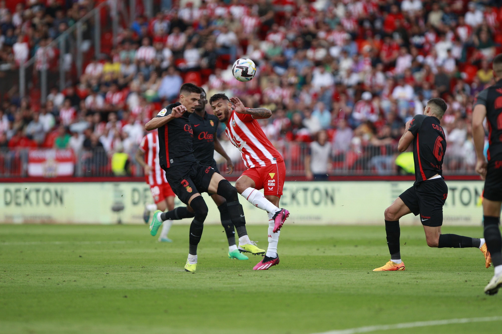 Imágenes del partido U.D. Almería-R.C.D. Mallorca