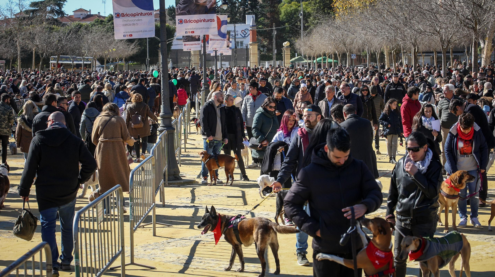Búscate en San Antón de Jerez