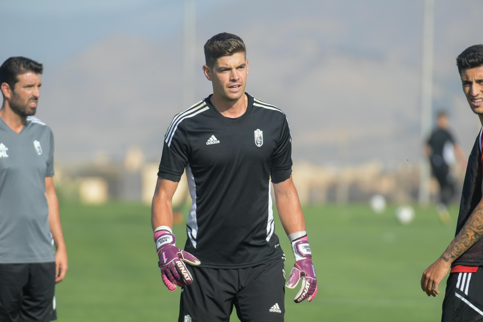 Raúl Fernández, en la sesión de este martes por la mañana.