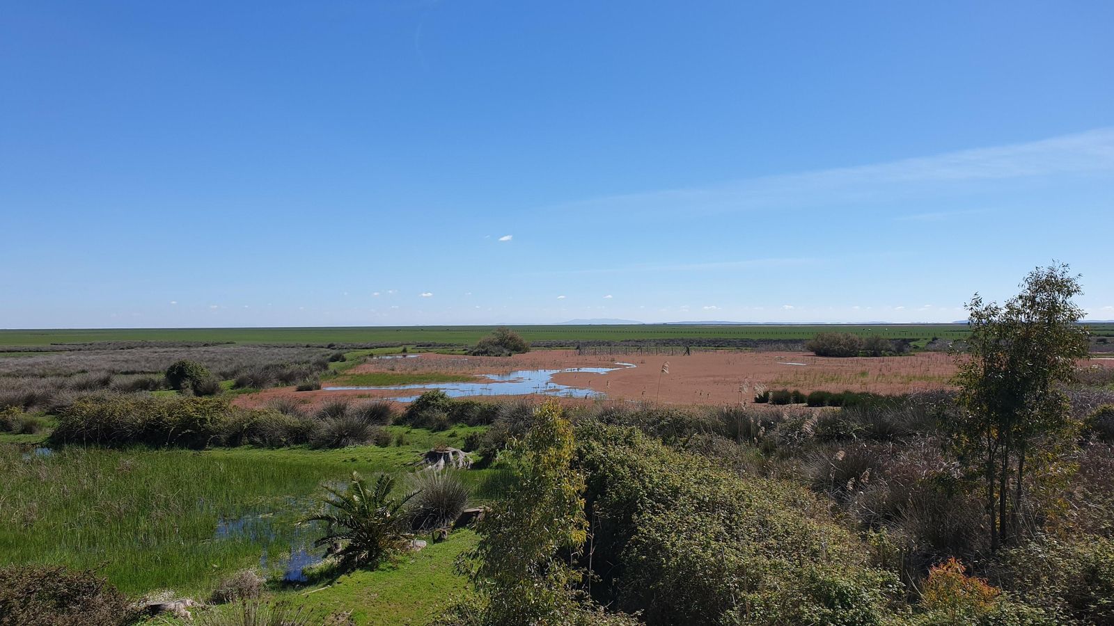 Laguna peridunar de Doñana prácticamente seca.