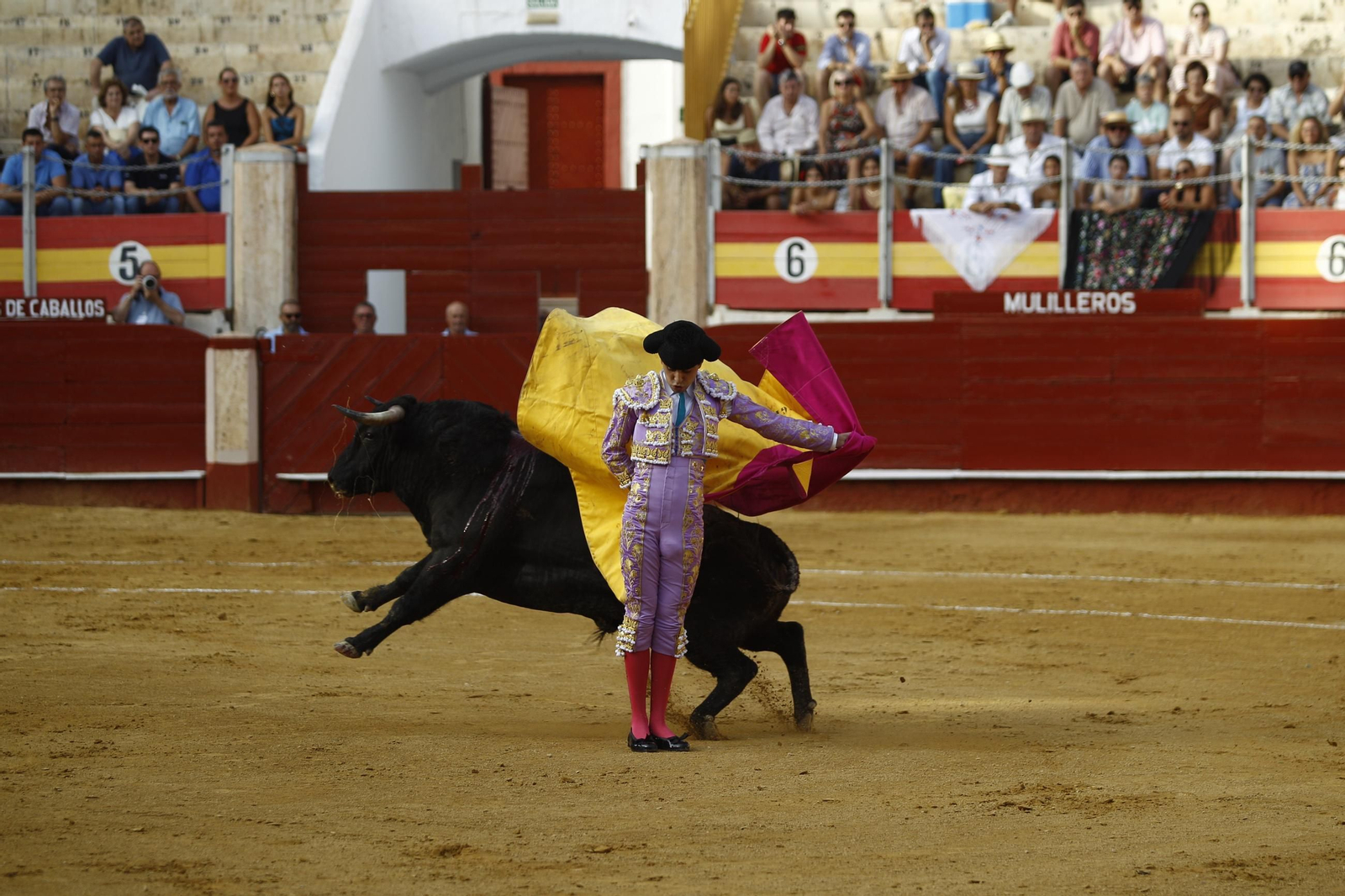 Imágenes de la novillada de la Feria de Almería 2025