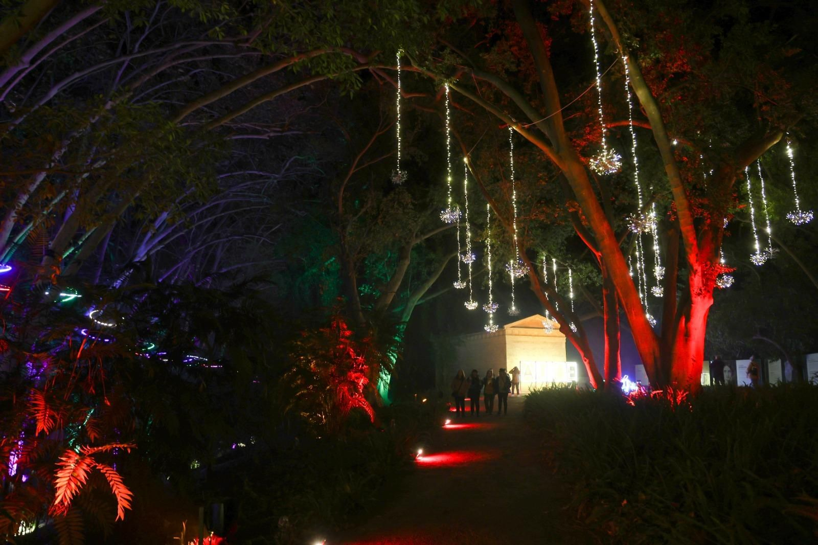 El espectaculo 'La Navidad en el Jardín de las Maravillas¡ en el Jardín Botánico, en imágenes