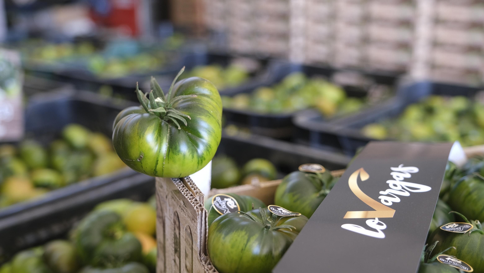 El auténtico Raf LoVargas