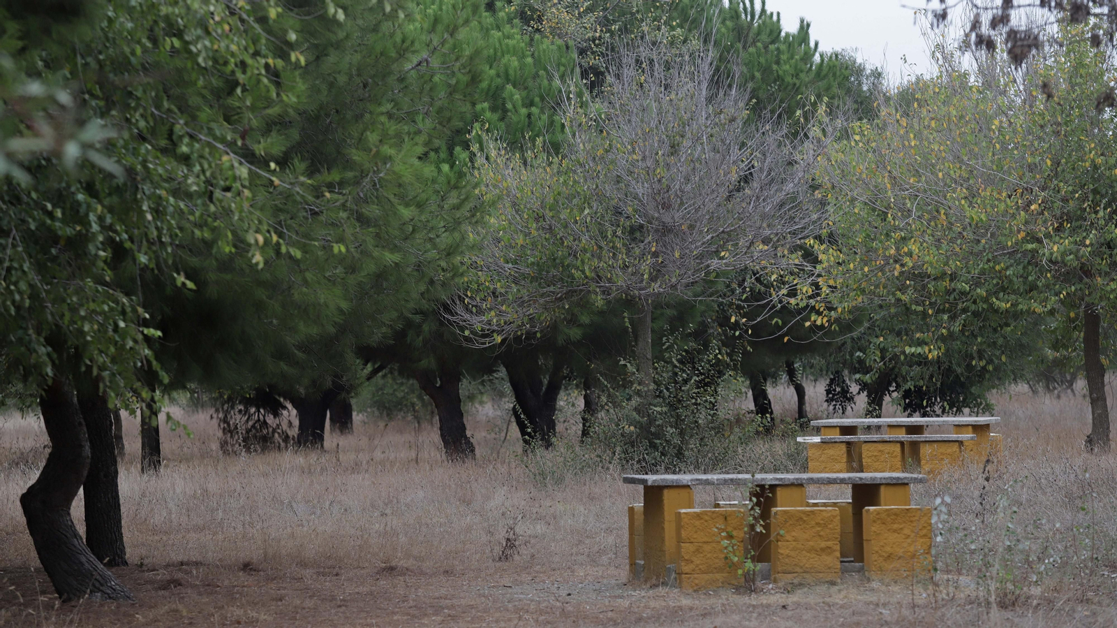 Fotos del parque del Torrejón en Algeciras