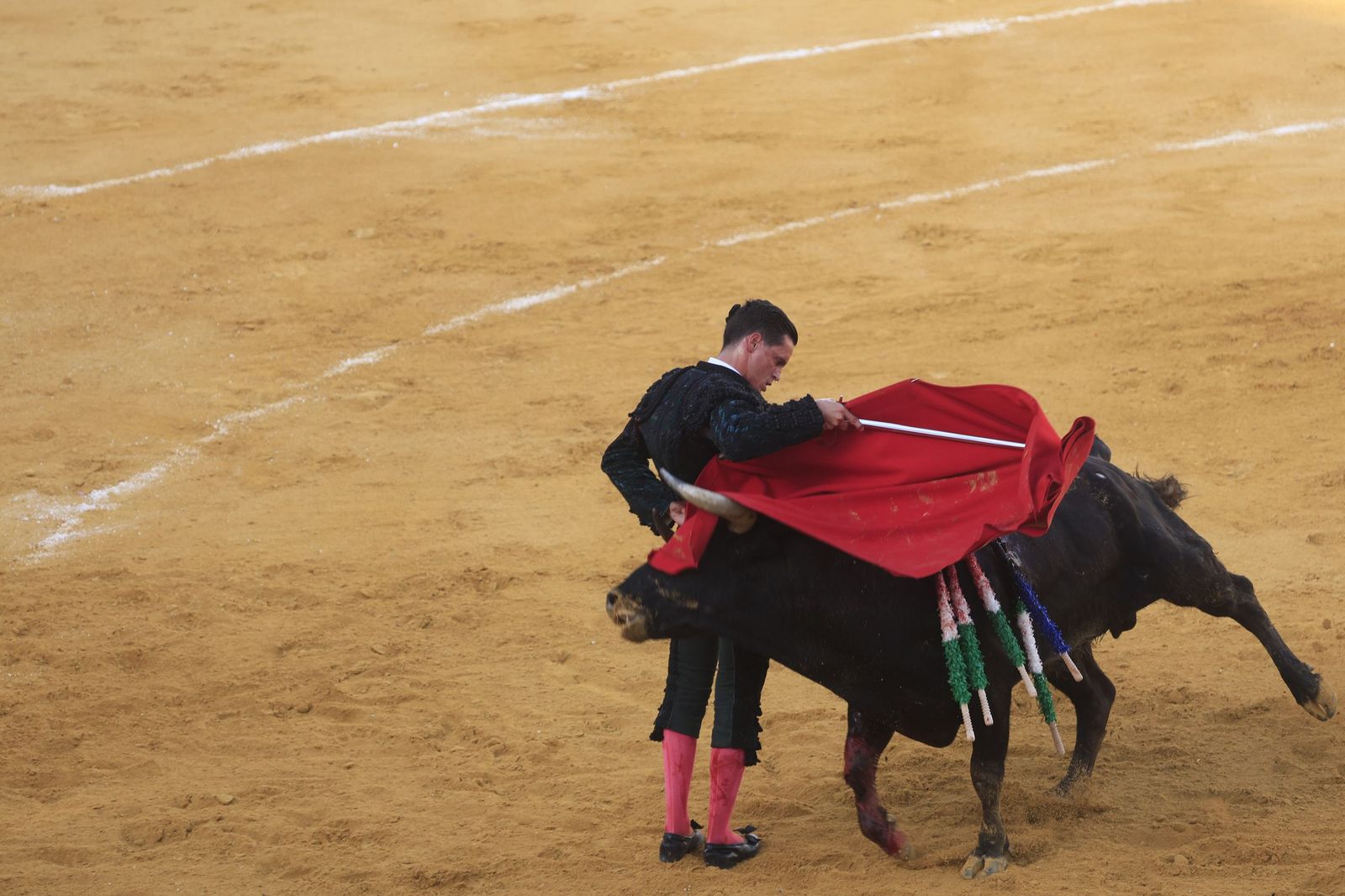 Fotos de la corrida de toros de la Feria de San Roque con David Galván, Román y Joaquín Galdós