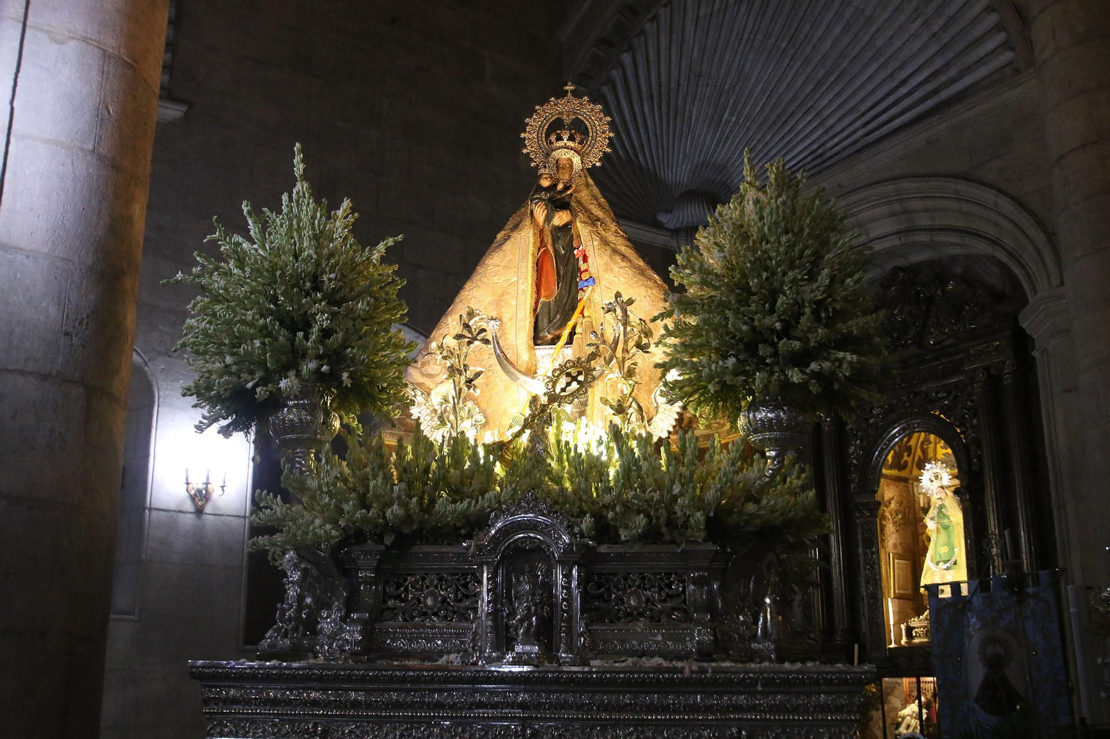 Fotogalería de la retirada de la Virgen del Mar para su restauración