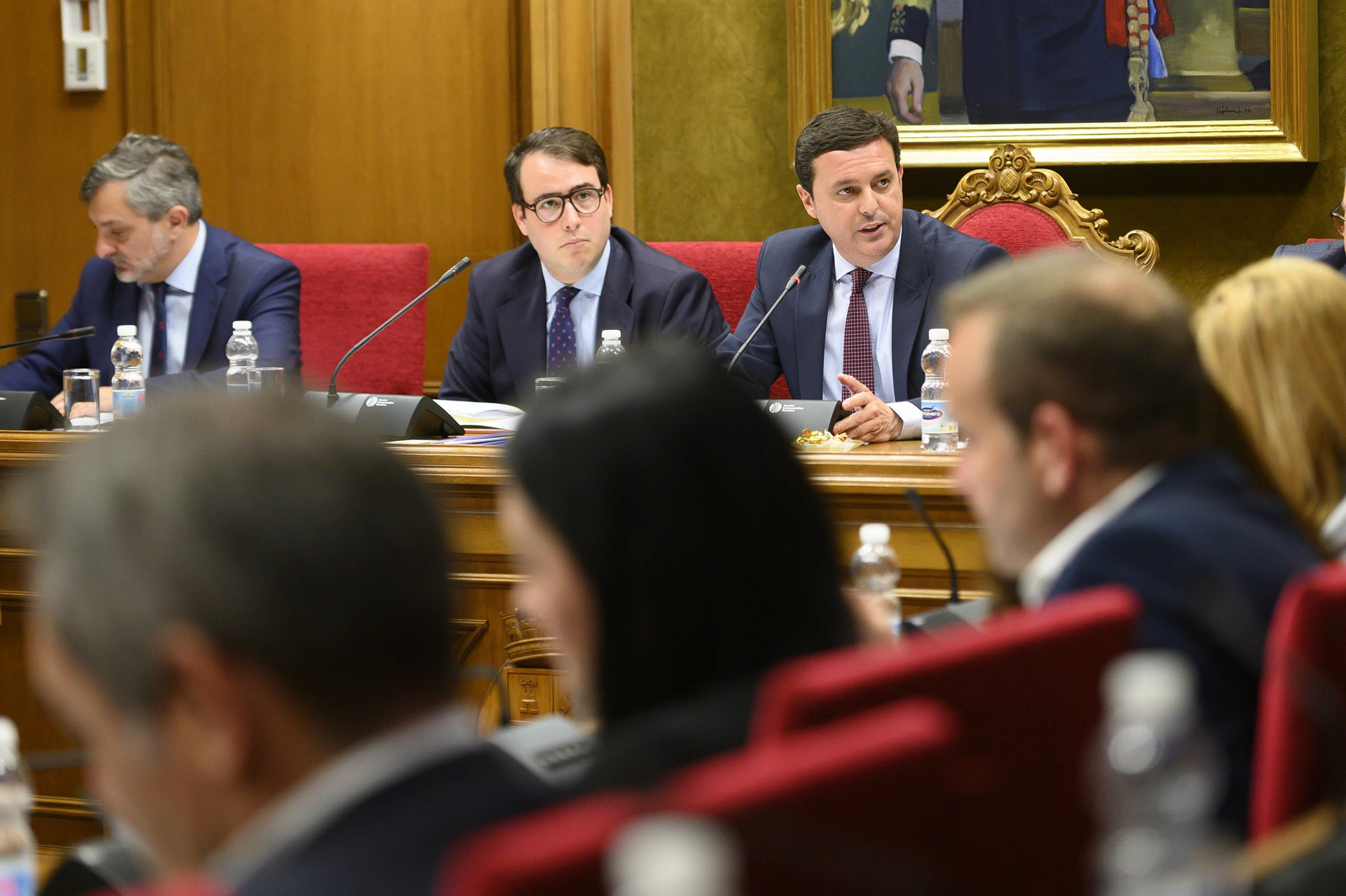 Pleno de la Diputación Provincial