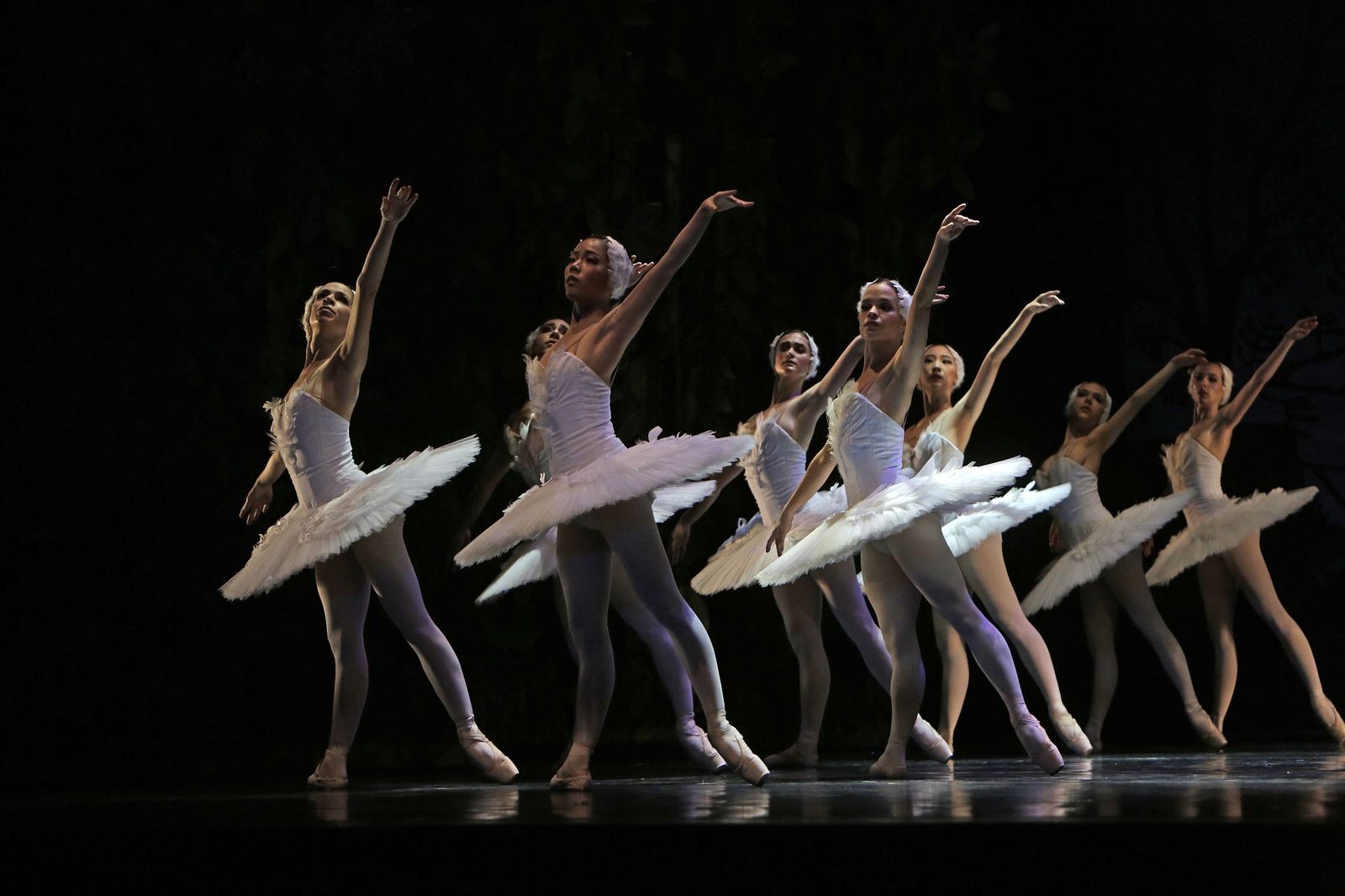 EL LAGO DE LOS CISNES