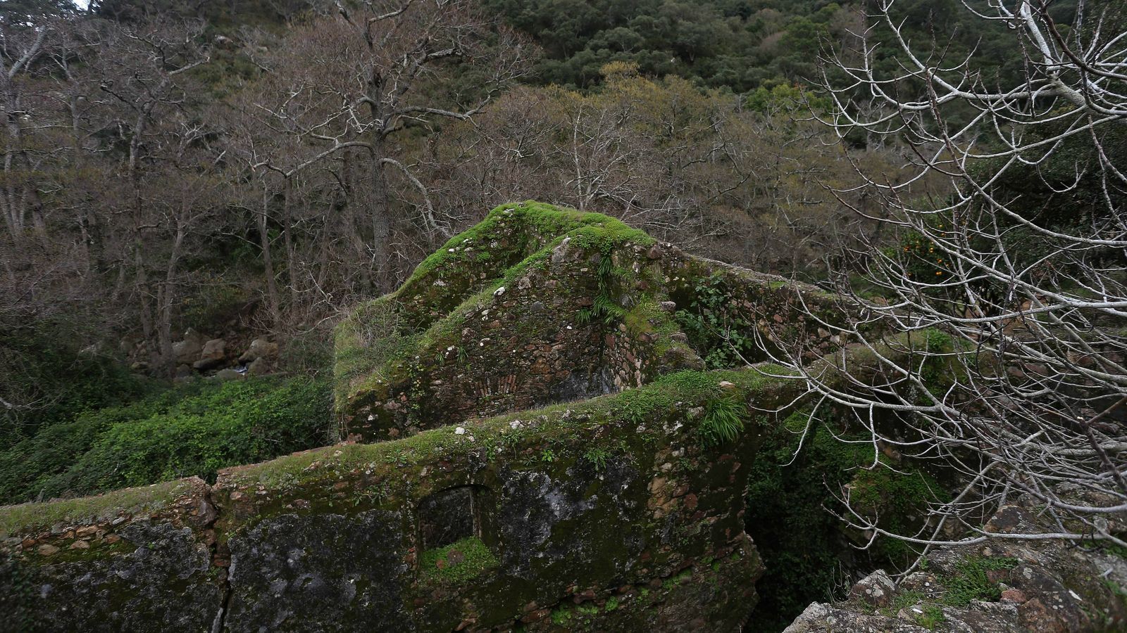 Las mejores fotos del sendero del Río de la Miel