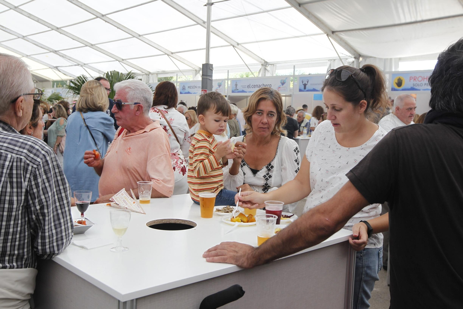 Fotogalería Feria de la Gamba Roja. Garrucha