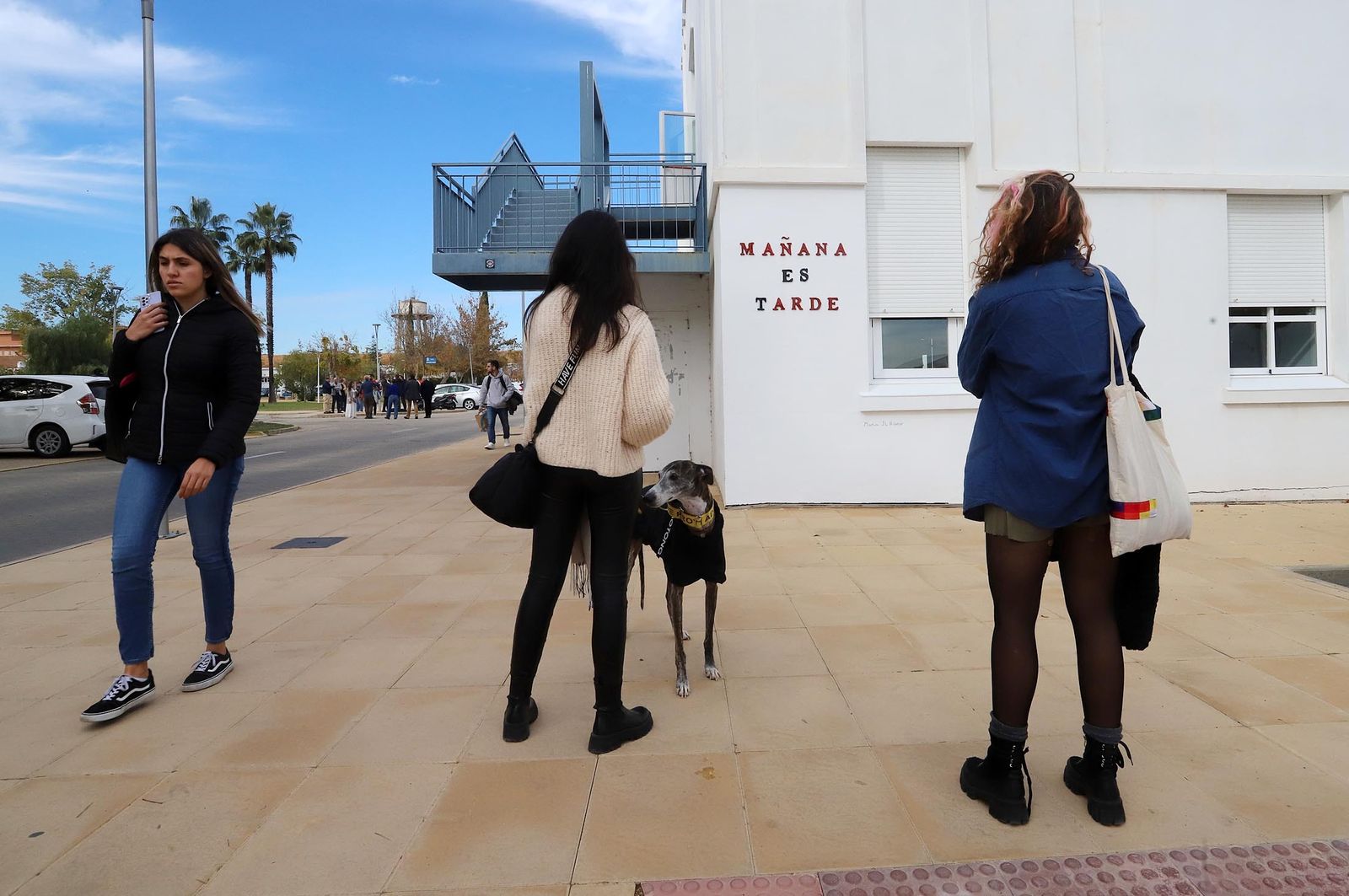 Wild Welva y María JL Hierro inauguran las nuevas intervenciones de Arte urbano en el Campus del Carmen, en imágenes