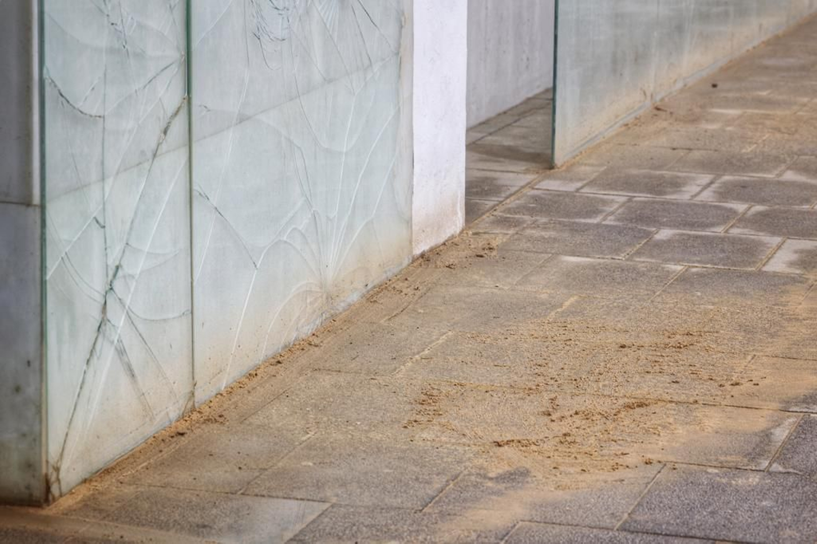 Imágenes del abandono de la pérgola del parque Genovés de Cádiz