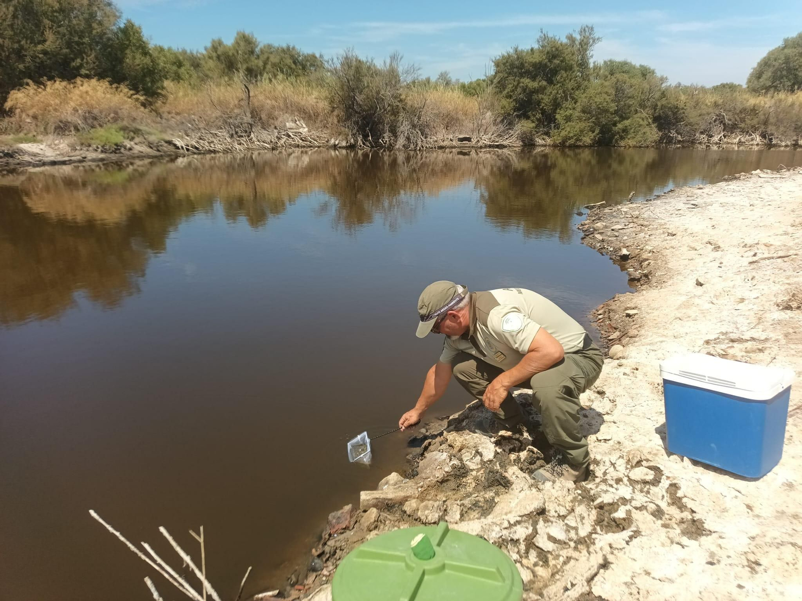 Trabajos de reintroducción del pez fartet en Málaga.