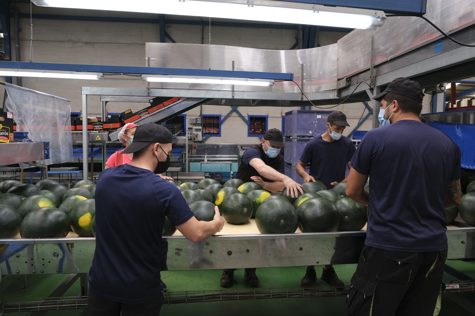 Fotogalería visita de Carmen Crespo a Grupo Caparrós. Almería